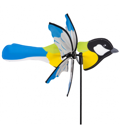 Petite oiseau Kohlmeise " Mesange"